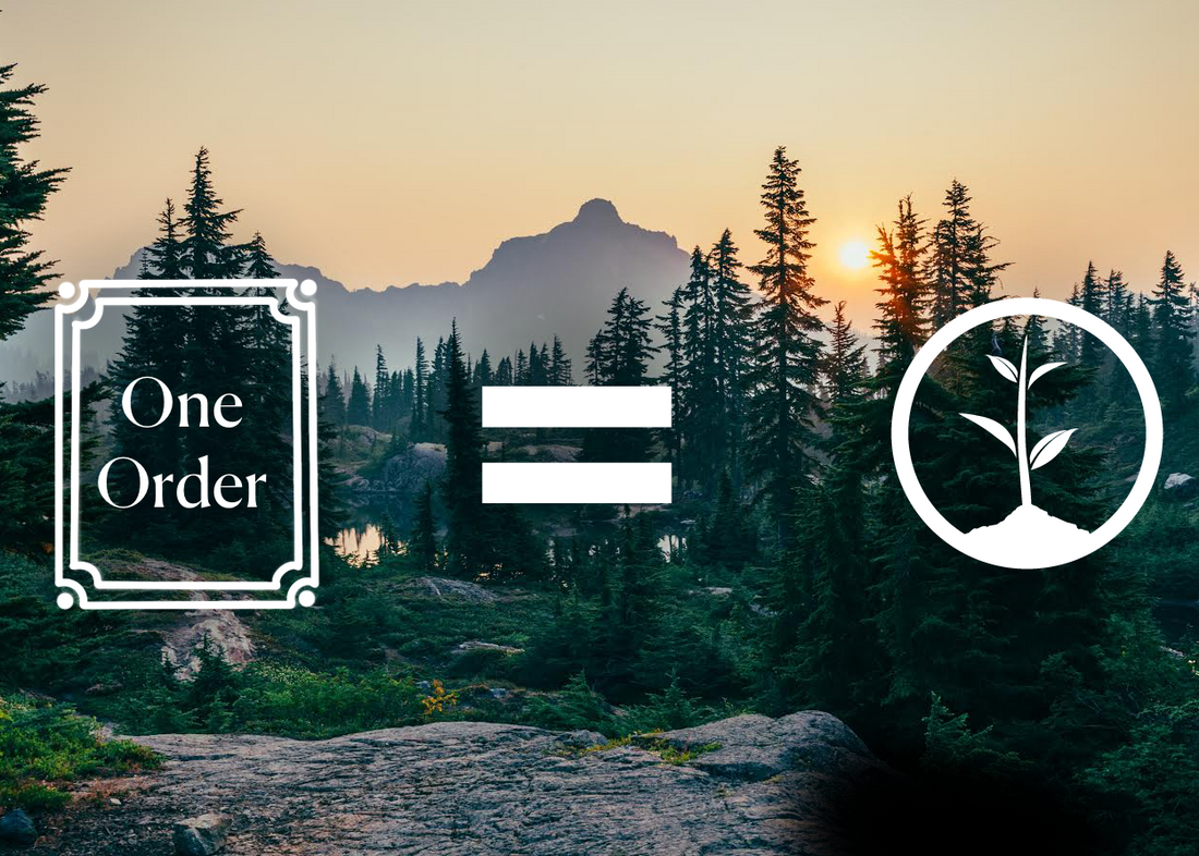 one tree planted logo in front of nature landscape at sunset