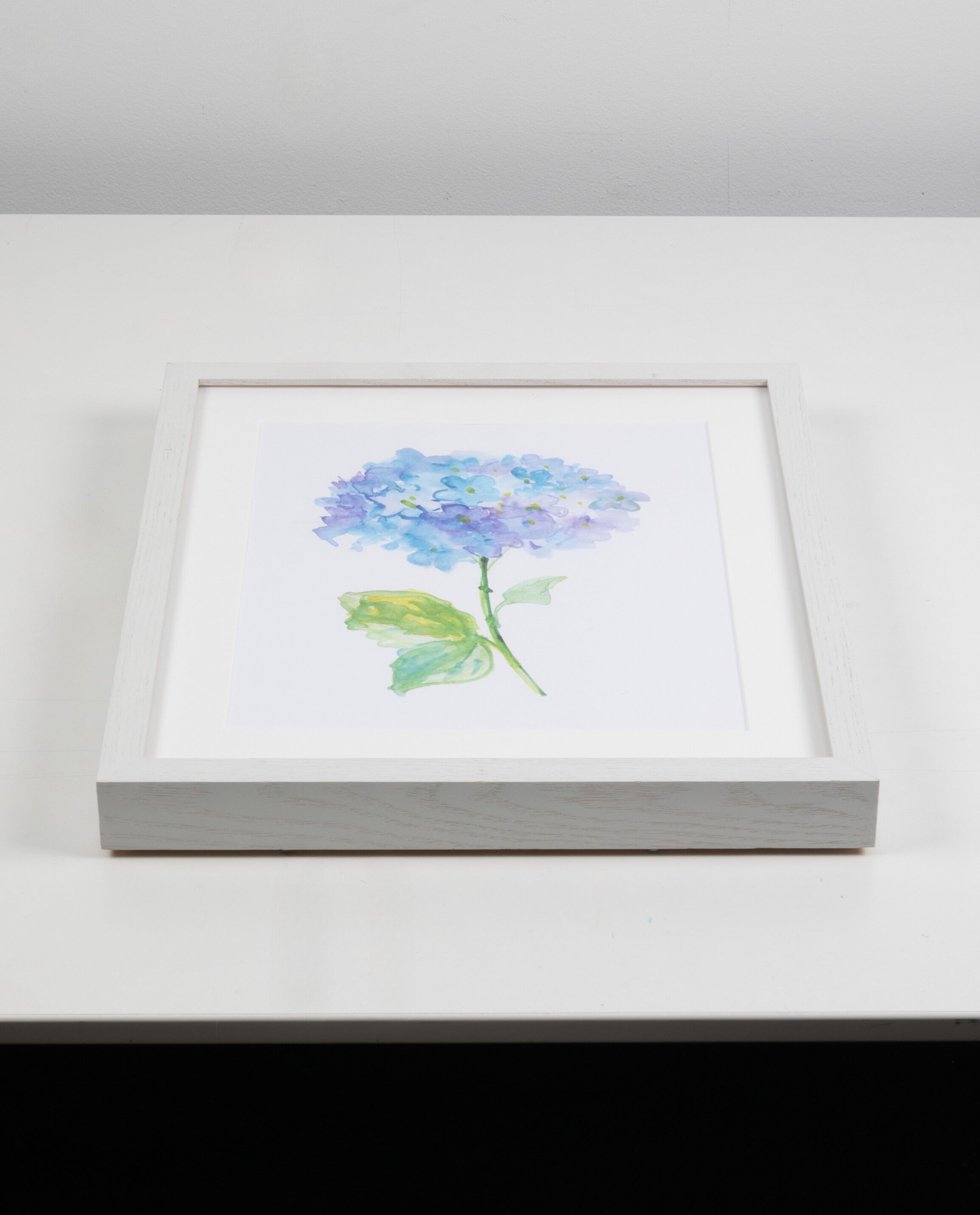 Blue Hydrangea Watercolor Art with White Frame