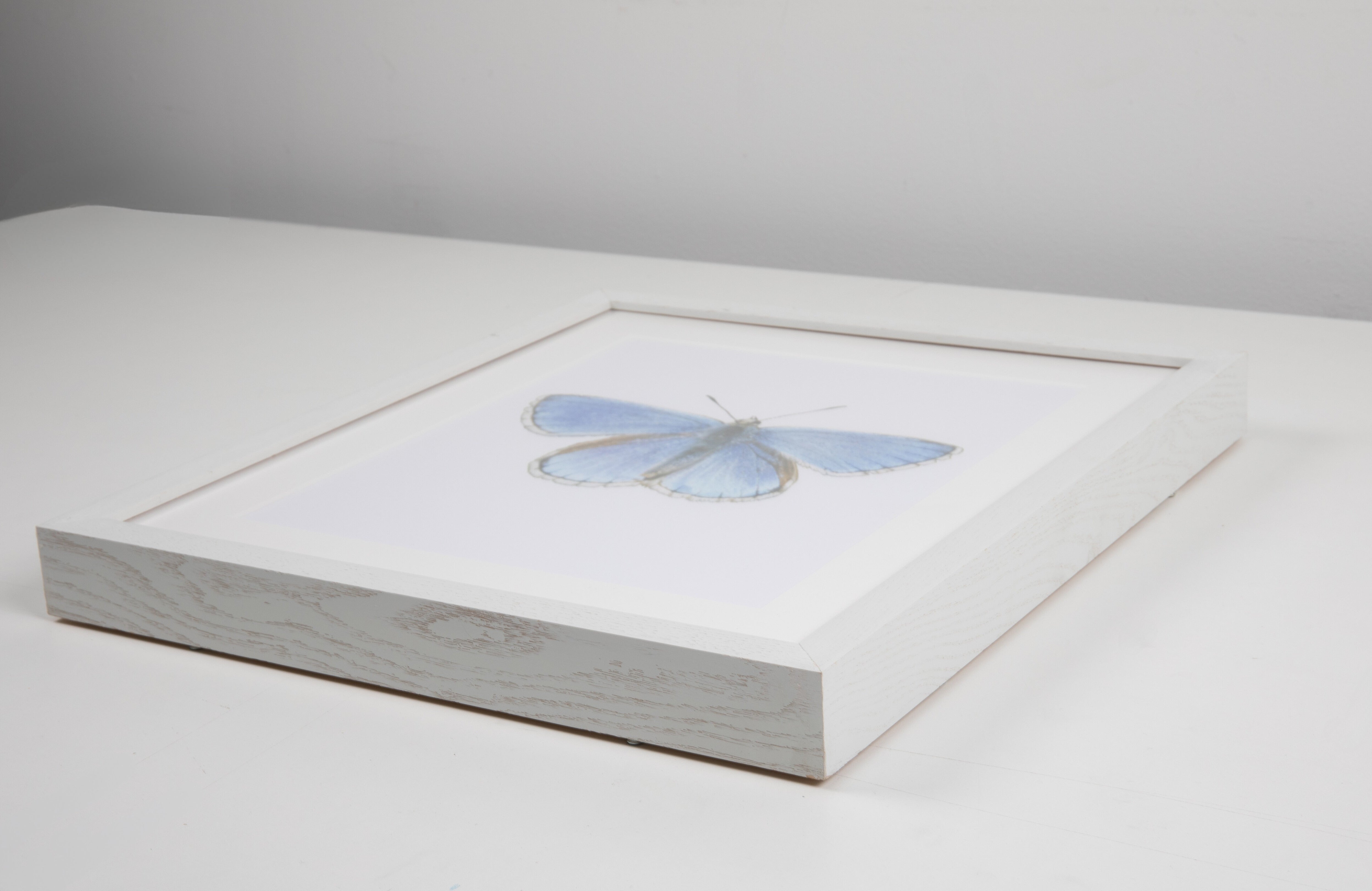 Small Blue Butterfly Watercolor Art with White Frame