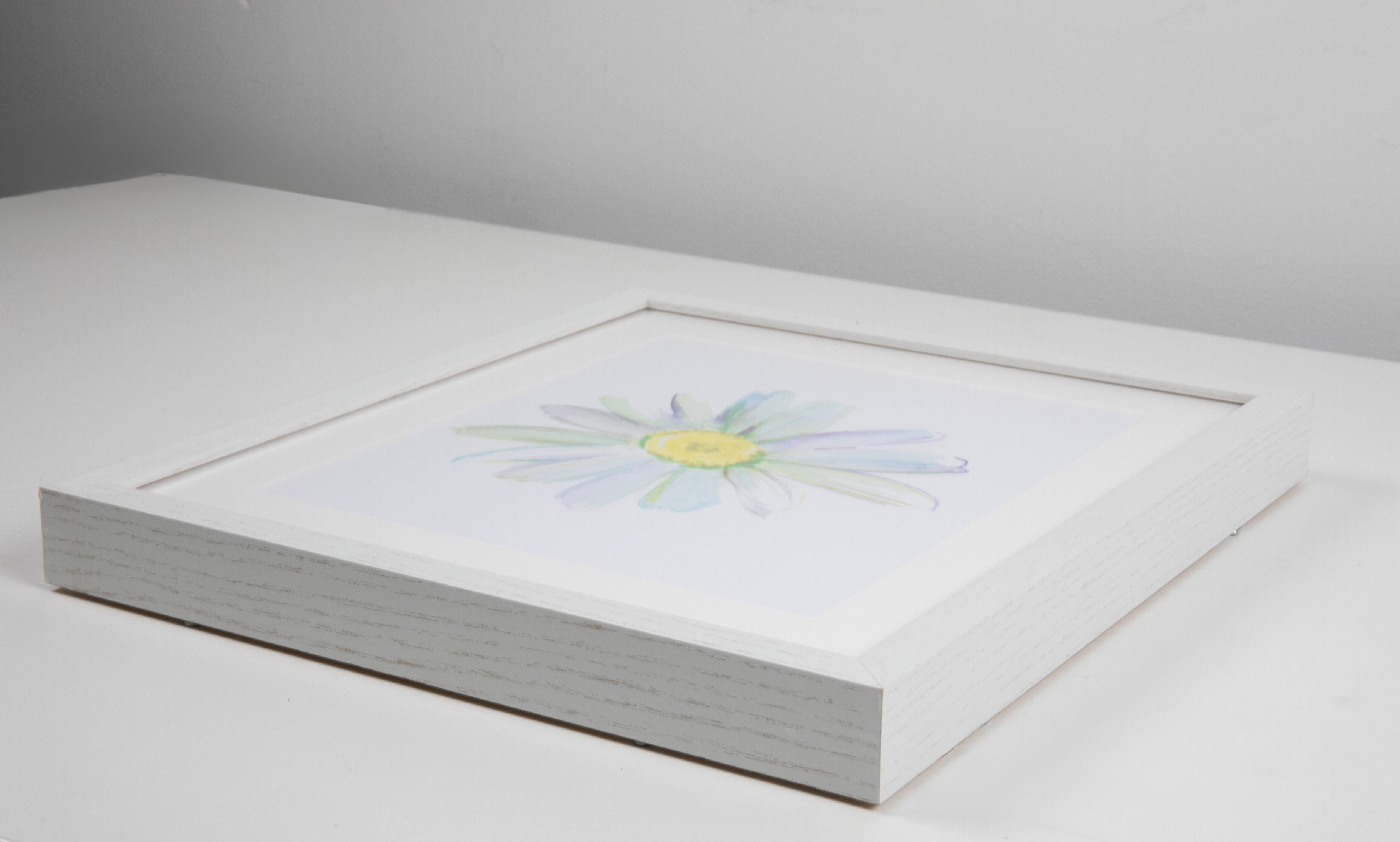Daisy Watercolor Art with White Frame