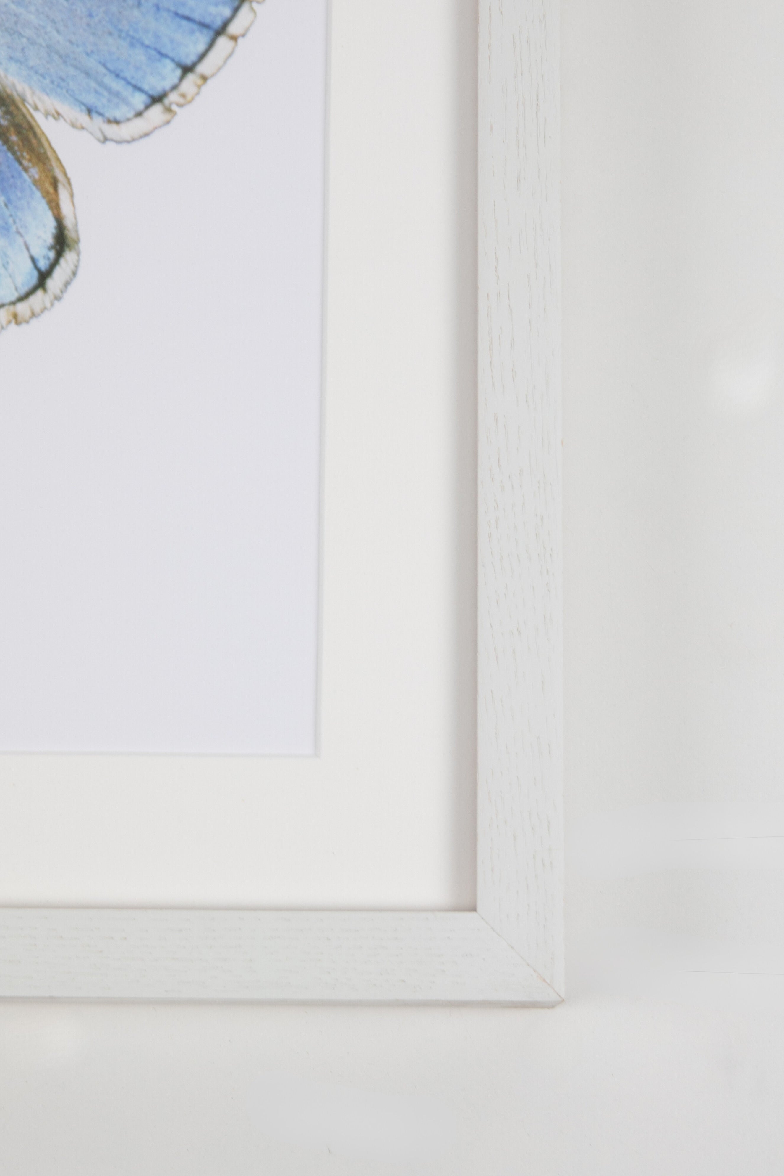 Small Blue Butterfly Watercolor Art with White Frame