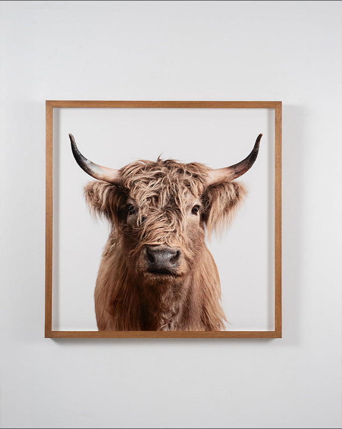 Skyframe I Fine Art Printing & Picture Framing