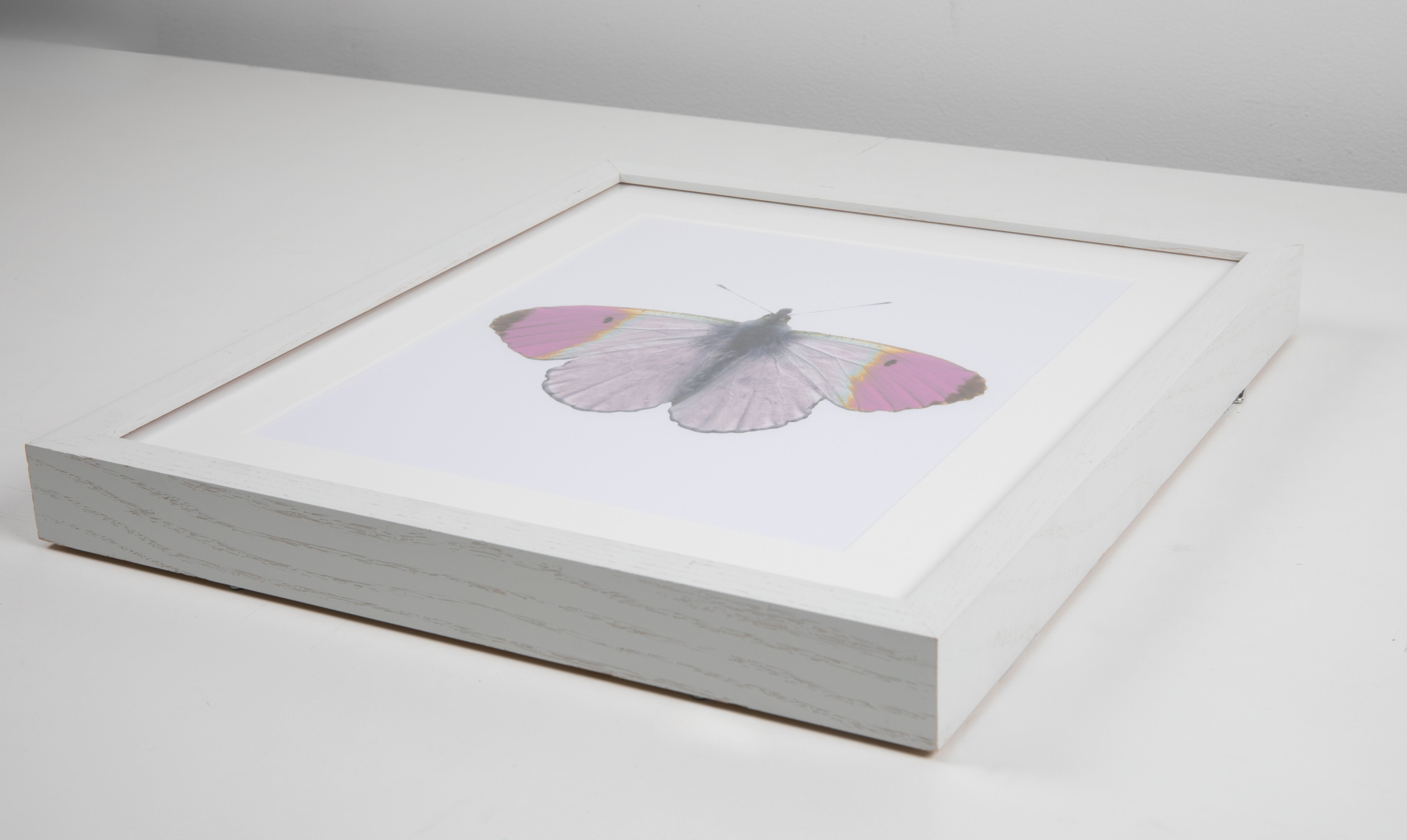Violet Butterfly Watercolor Art with White Frame
