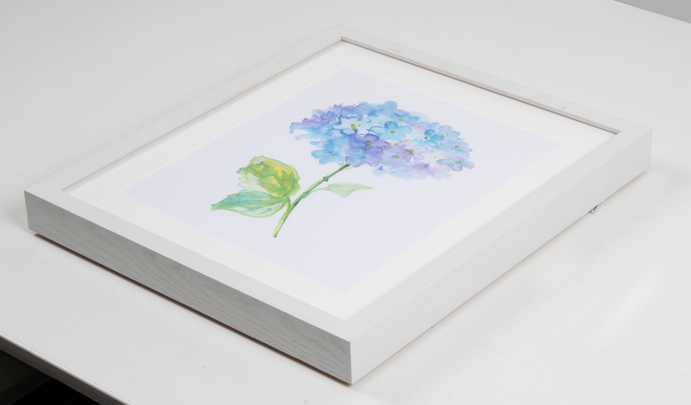 Blue Hydrangea Watercolor Art with White Frame