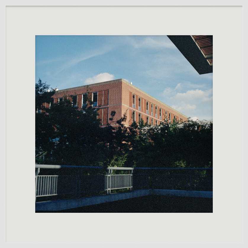 Custom Frame - White Narrow Gallery Maple