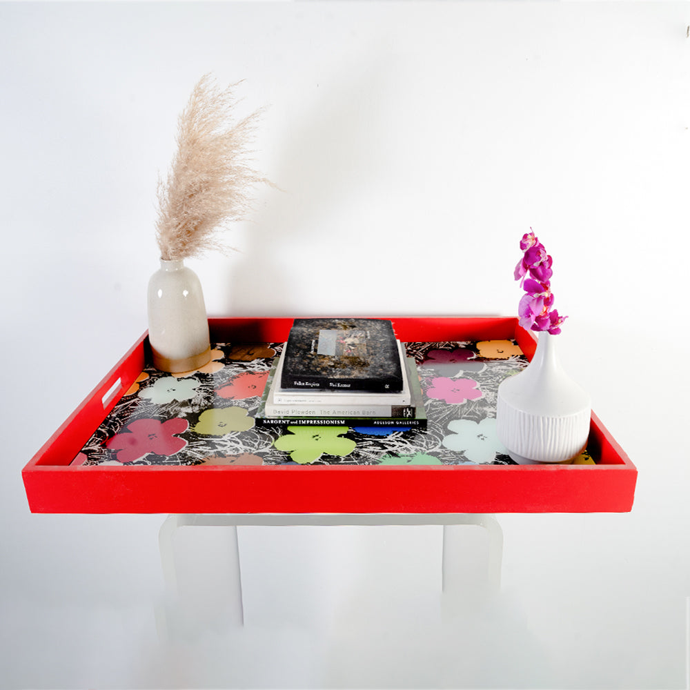 Skyframe custom trays prints on plexi