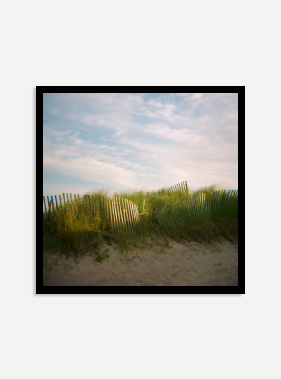 grassy fence at the beach in black frame