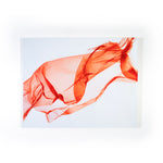 Skyframe custom plexi glass mount prints 