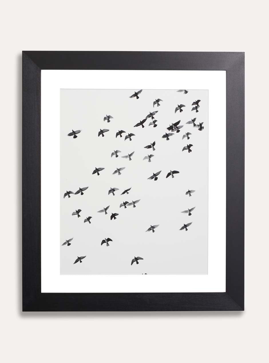 flying birds on white background in black frame on white wall