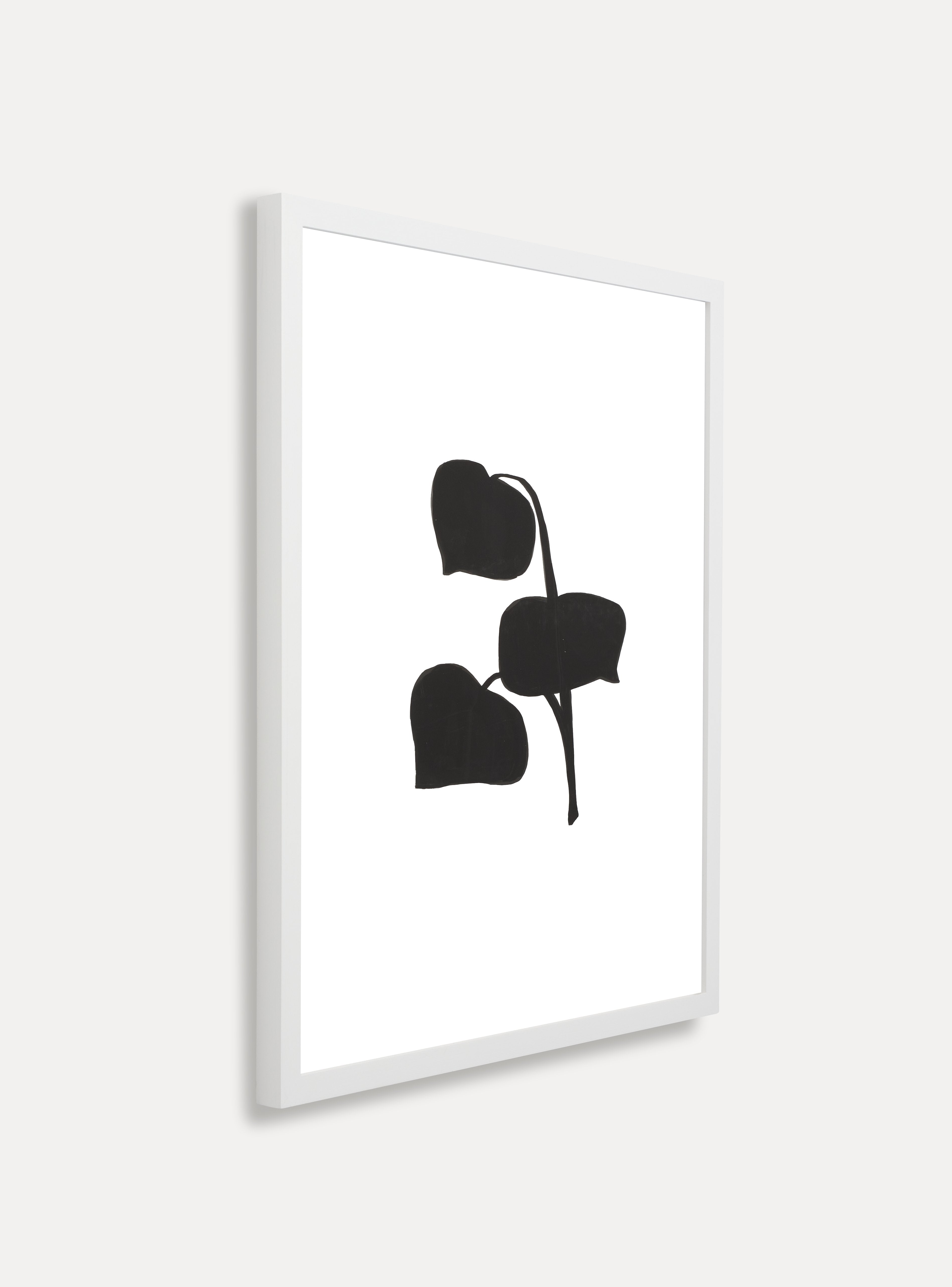 White Wash Dynamic Maple - Thumbnail 5