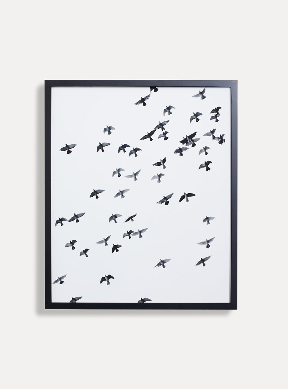 Black frame holding bird art