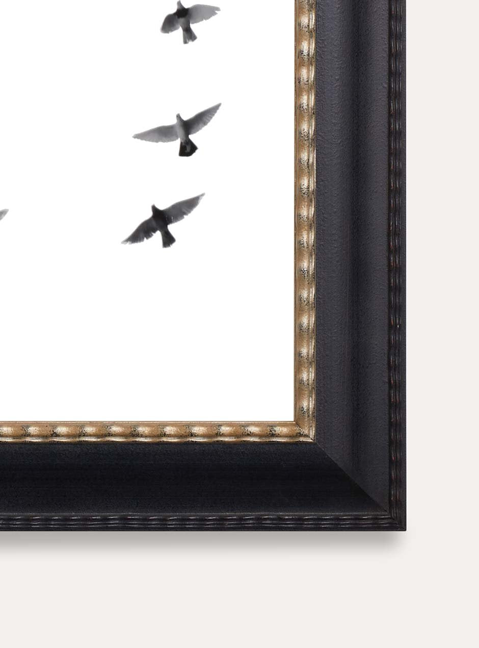 close up of bottom corner of birds flying with white background in black frame and gold inner trim
