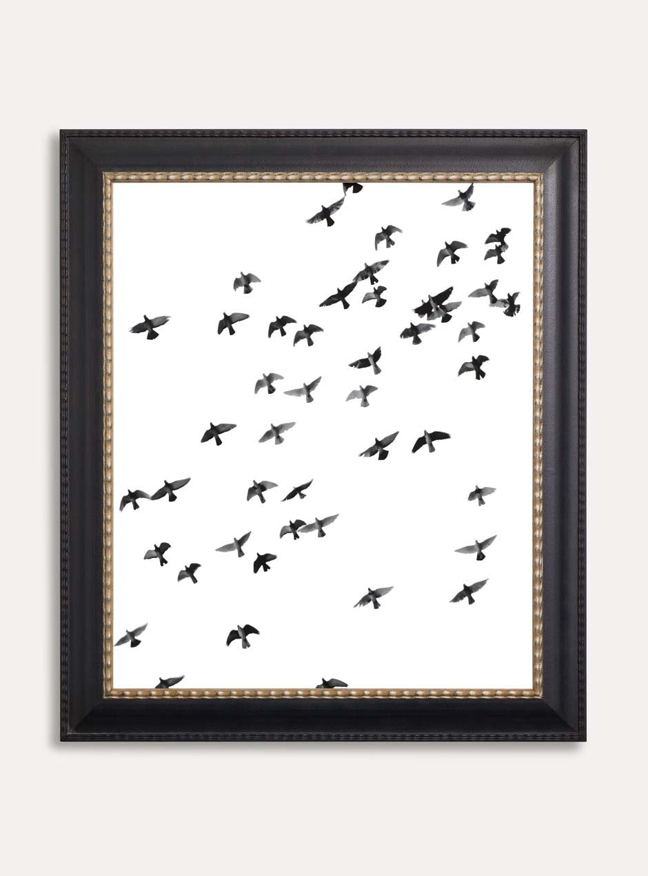 birds flying with white background in black frame and gold inner trim