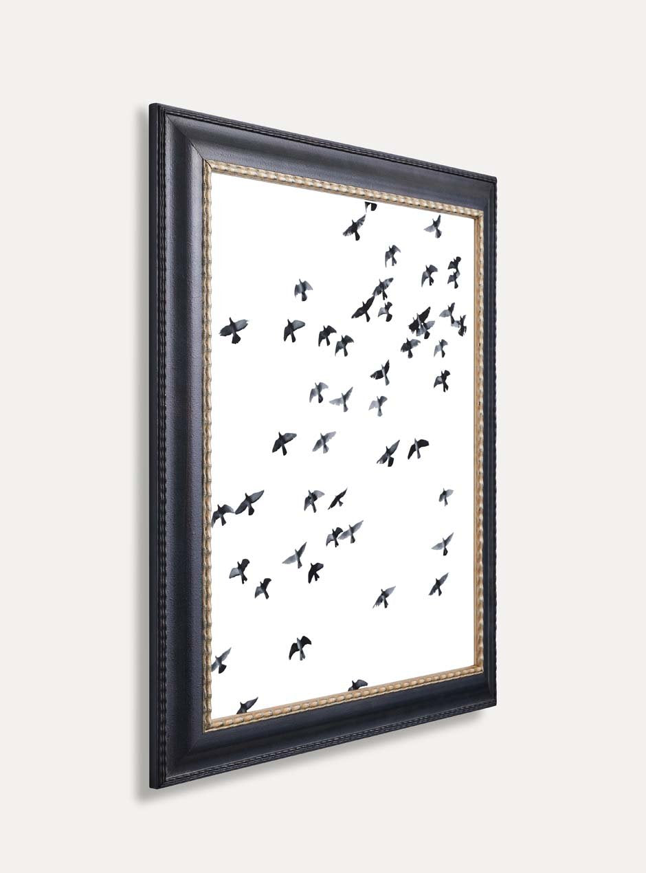side view of birds flying with white background in black frame and gold inner trim